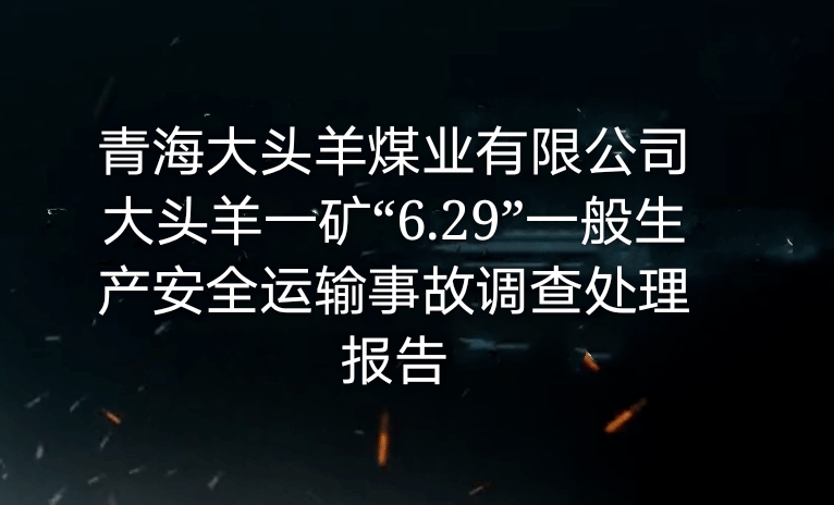 青海大頭羊煤業(yè)有限公司大頭羊一礦“6・29”一般生產(chǎn)安全運(yùn)輸事故調(diào)查處...